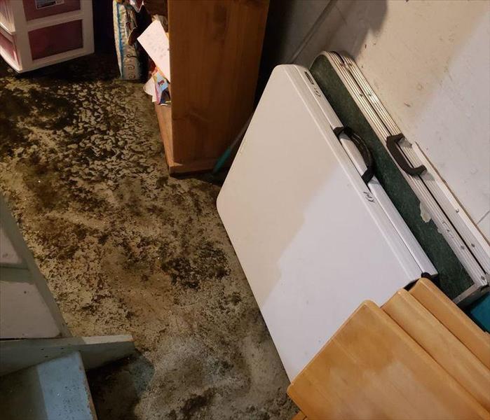Basement floor with contaminated water and random items
