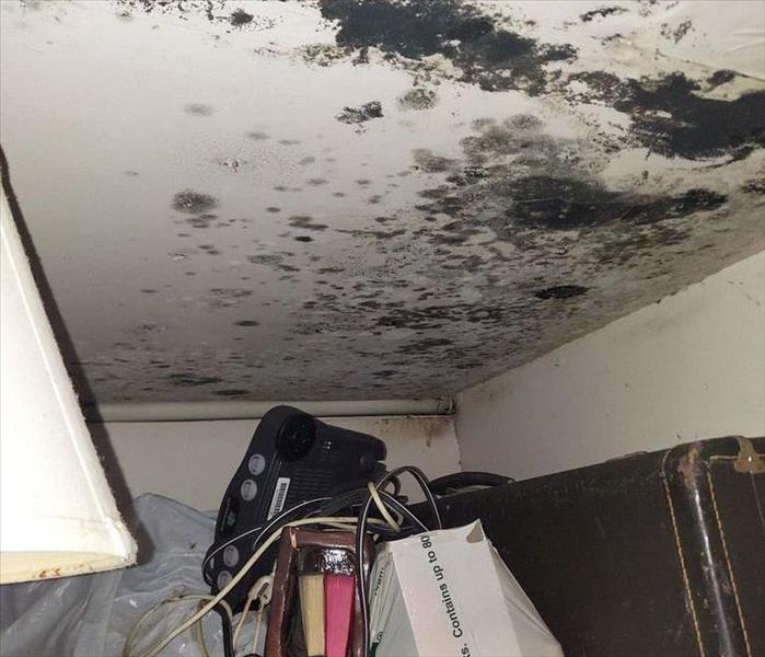 Mold infestation on a closet ceiling above a briefcase and random items