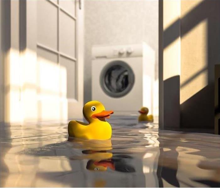 Toy Ducky floating Waters