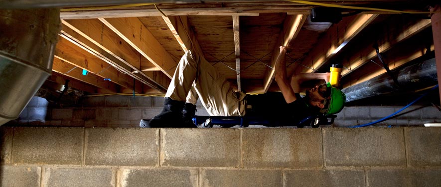 Warren County, NJ mold removal