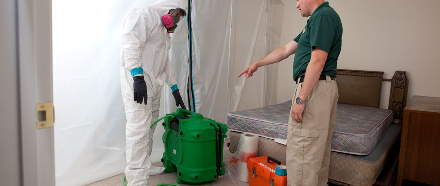 Warren County, NJ mold removal process